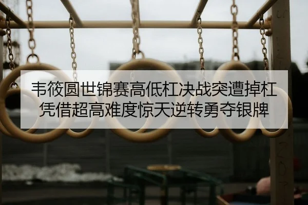 韦筱圆世锦赛高低杠决战突遭掉杠 凭借超高难度惊天逆转勇夺银牌